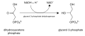 Conversion of dihydroxyacetone phosphate to glycerol 3-phosphate