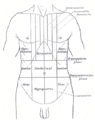 Intertubercular plane