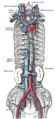 Supreme intercostal vein