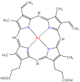 Heme structure