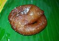 Chhanar Jilipi