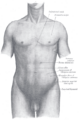 Thumbnail for version as of 17:28, 18 May 2026