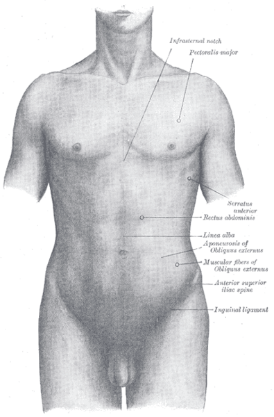File:Gray1219.png