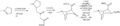 Biosynthesis of cocaine