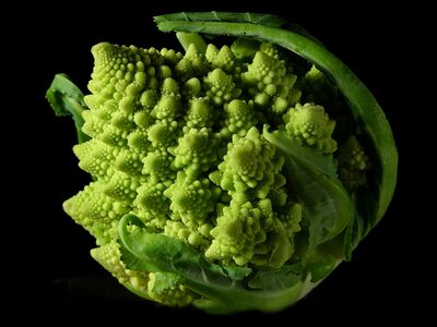 Fractal form of a Romanesco broccoli