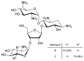 Gene expression