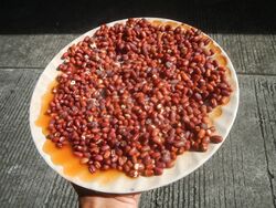 Germination of Adzuki bean