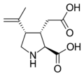 Kainic acid structure