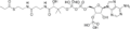 Propionyl-Coenzyme A structure