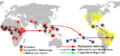 Phylogenetic analysis map of Zika virus