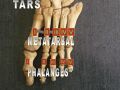 Fourth metatarsal bone