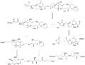 Forsyth's Synthesis of Okadaic Acid