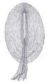 Pacinian corpuscle diagram from Gray's Anatomy