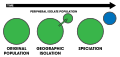 Peripatric Speciation Schematic