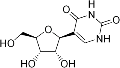Pseudouridine