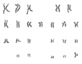 Cytogenetics