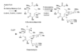 Oleandomycin synthesis step 2