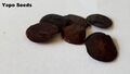 Yopo seeds