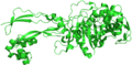 Structure of a penicillin-binding protein