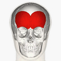 Frontalis muscle animation