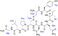 Vasopressin