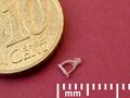 Stapes in the human ear