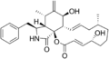 Cytochalasin B