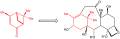 Wender Taxol synthesis