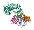 1R4P Structure
