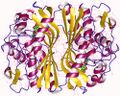 Thymidylate_synthase