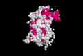 Somatotropine