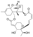 Satratoxin-H