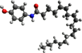 3D model of AM404