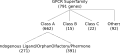 G protein-coupled receptor