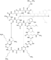 Structural formula of ziconotide