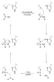 Cystein protease reaction mechanism