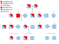 Autosomal Recessive
