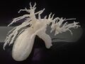 3D Printed biliary system