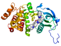 1IEP structure