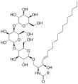 Migalastat