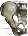 Pelvic girdle pain