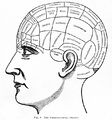 Phrenological organs illustration from 1887