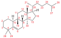 Cucurbitane Grundstruktur num