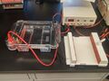 2D Gel Electrophoresis Apparatus