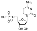 CMP Chemical Structure