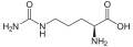 L-Citrullin