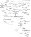 Metabolism of common monosaccharides, and related reactions