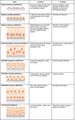 Summary of Epithelial Tissue Cells