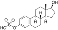 Estradiol sulfate
