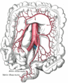 Inferior mesenteric artery